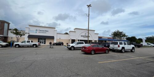 Surfwood Image 11