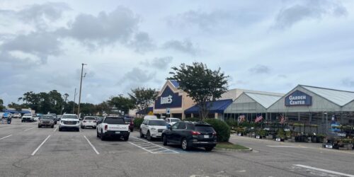 Surfwood Image 12