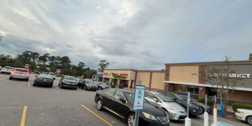 Surfwood Image 15