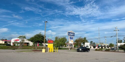 Surfwood Image 17